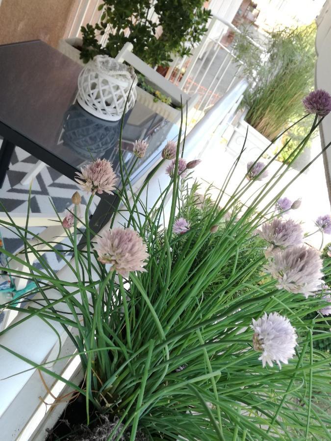 ארונה Suite 51 Appartamento Con Terrazzo A 50 Mt Dal Lago - Private Parking (Adults Only) מראה חיצוני תמונה